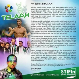 3-Myelin-Kebaikan-Yang-Menjadi-Faktor-Kesuksesan-Anda