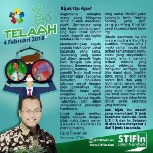 Bijak-Itu-Apa-Bijak-Memahami-5-Kaca-Mata-Manusia