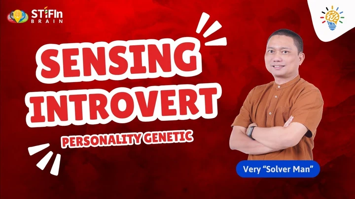 Penjelasan Hasil Tes STIFIn Sensing introvert