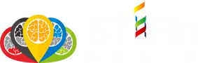 STIFIn Brain Logo Transparant