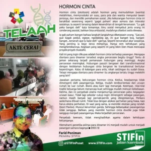 Sebab-Terjadinya-Perceraian-Kurangnya-Hormon-Cinta