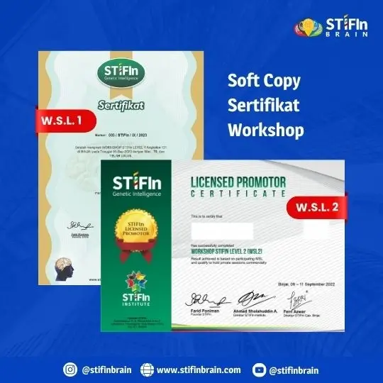 Sertifikat-Workshop-STIFIn-Untuk-Promotor-STIFIn-Brain
